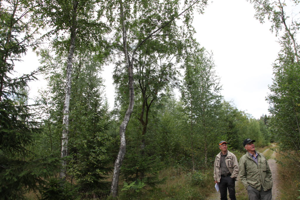 Jonas och Bosse vid rönnskogen